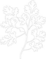 parsley  outline silhouette vector