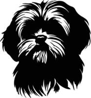 Shih Tzu  silhouette portrait vector