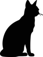 punto de color cabello corto gato negro silueta vector