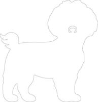 bichón frise contorno silueta vector