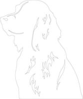 Irish Setter  outline silhouette vector