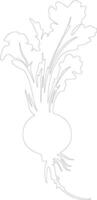 radish  outline silhouette vector