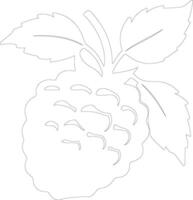 raspberry  outline silhouette vector