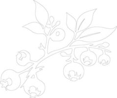 blueberry  outline silhouette vector