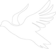 white dove  outline silhouette vector