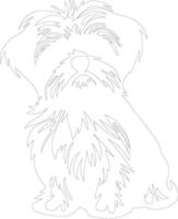 Maltese  outline silhouette vector