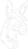 llama  outline silhouette vector