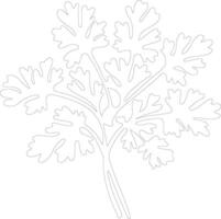 parsley  outline silhouette vector