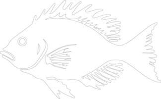 John Dory  outline silhouette vector