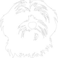 Havanese  outline silhouette vector