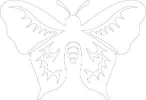 jumping bean moth  outline silhouette vector