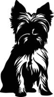 Yorkshire Terrier    black silhouette vector