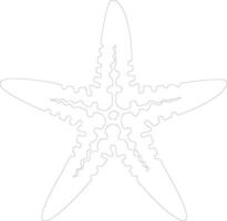starfish   outline silhouette vector