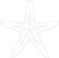 starfish   outline silhouette vector