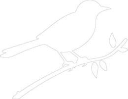 nightingale  outline silhouette vector