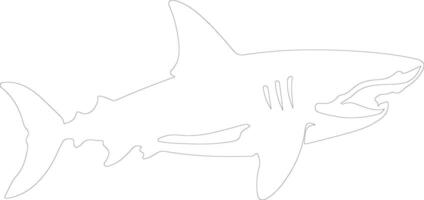 megalodon contorno silueta vector