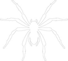 arácnido contorno silueta vector