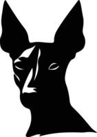 Xoloitzcuintli Mexican Hairless Dog  silhouette portrait vector