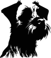 Border Terrier  silhouette portrait vector