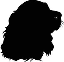 Boykin Spaniel  silhouette portrait vector