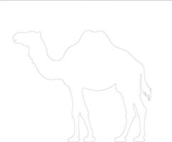 bactrian camel  outline silhouette vector