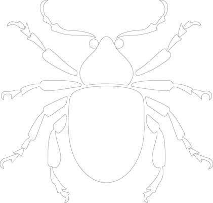 beetle  outline silhouette