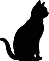 European Shorthair Cat  black silhouette vector