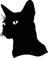 Burmilla Cat  silhouette portrait vector