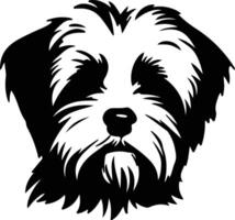 Maltese  silhouette portrait vector