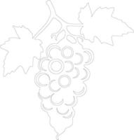 grape  outline silhouette vector