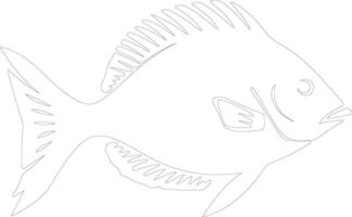 John Dory  outline silhouette vector