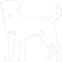 Anatolian Shepherd Dog  outline silhouette vector