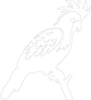 cockatoo outline silhouette vector