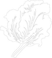 radicchio  outline silhouette vector