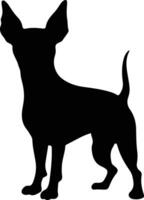 Manchester Terrier   black silhouette vector