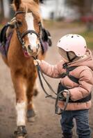 Little girl in protective jacket and helmet with her brown pony before riding Lesson. High quality photo