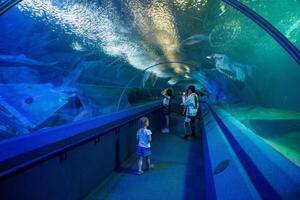 Pattaya, Thailand - December 26, 2023 Aquatic tunnel in the Underwater World in Pattaya, Thailand photo