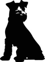 Welsh Terrier    black silhouette vector