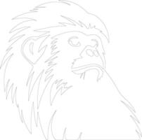 tamarin    outline silhouette vector