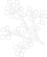 Mistletoe  outline silhouette vector