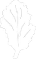 iceberg lettuce  outline silhouette vector