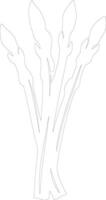 asparagus  outline silhouette vector