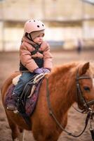 Little Child Riding Lesson. Three-year-old girl rides a pony and does exercises. High quality photo