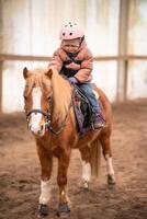 pequeño niño montando lección. tres años niña paseos un poni y lo hace ejercicios. alto calidad foto