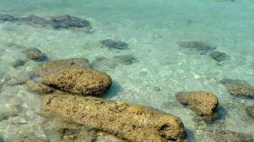 bellissimo visualizzazioni di il spiaggia, mare, rocce durante il giorno. video