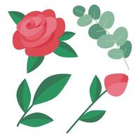 pattern of red roses and leaf vector