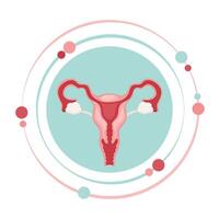 Female reproductive system graphic icon symbol vector