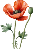 AI generated Watercolor painting of poppy flowers. png