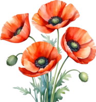 ai gegenereerd waterverf schilderij van papaver bloemen. png