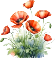 AI generated Watercolor painting of poppy flowers. png